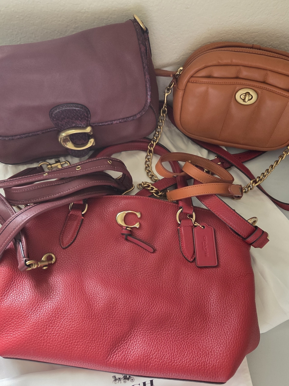 Coach Bag Bundle